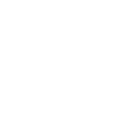 313 Fitness