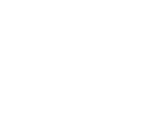 The Ticket Man